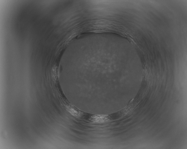X0000074030093200608211504