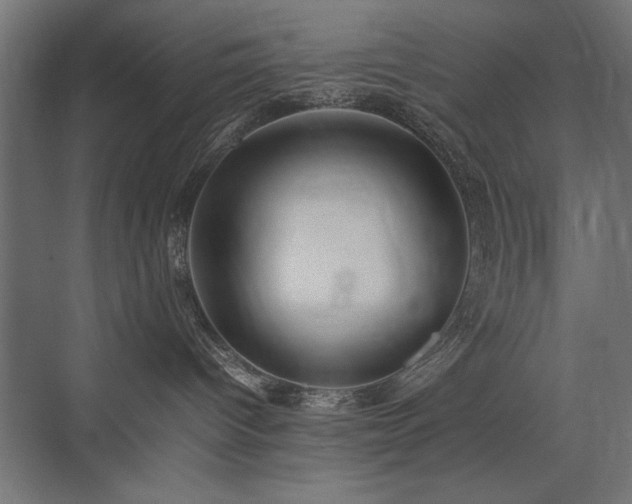 X0000074030096200608211504