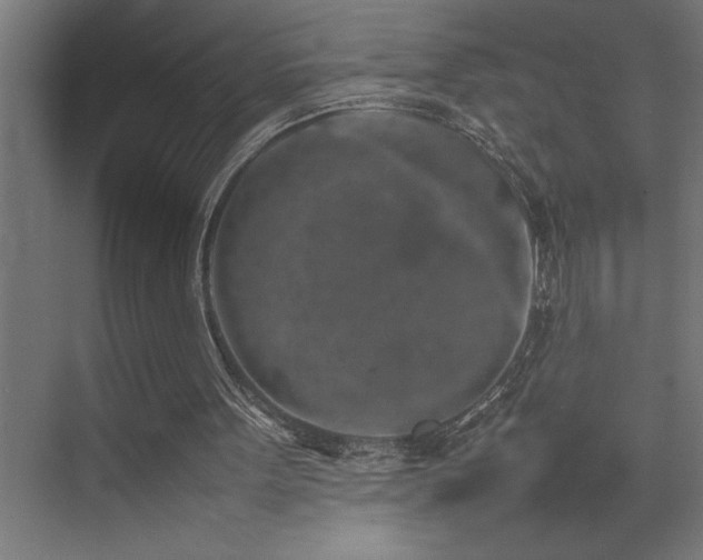 X0000074030099200608211503