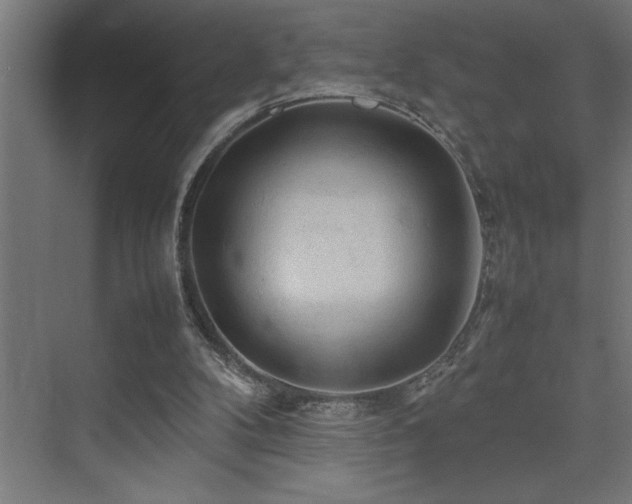 X0000074030104200608211503