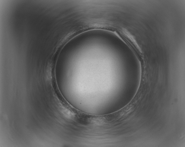 X0000074030106200608211503