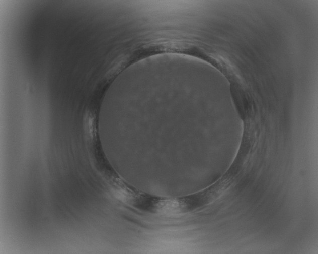 X0000074030123200608211502