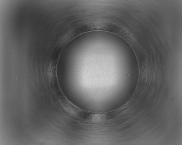 X0000074030126200608211502