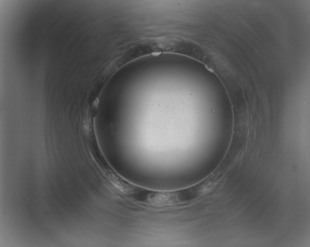 X0000074030129200608211502