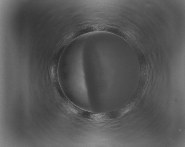 X0000074030139200608211502