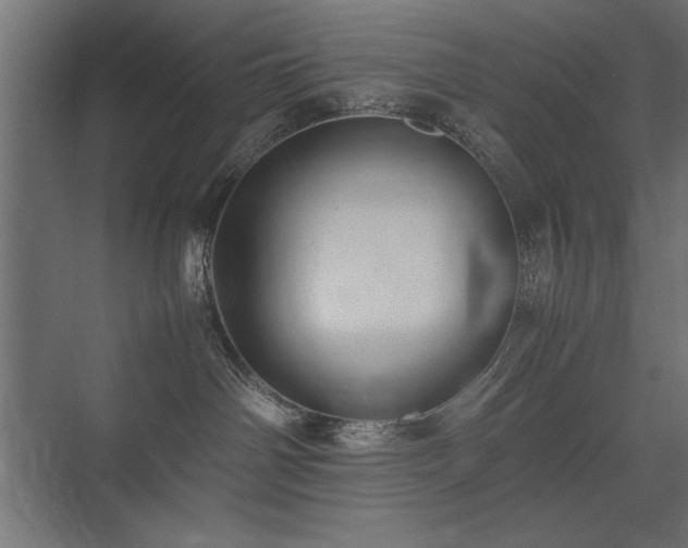 X0000074030142200608211502