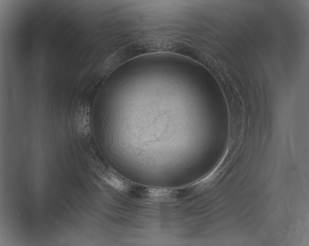 X0000074030144200608211502