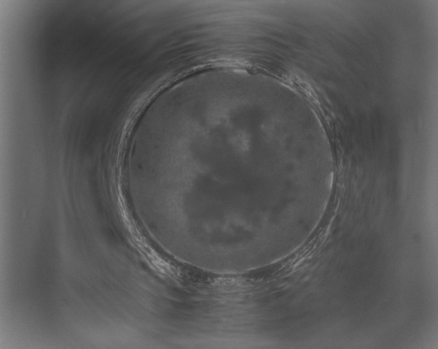 X0000074030145200608211501