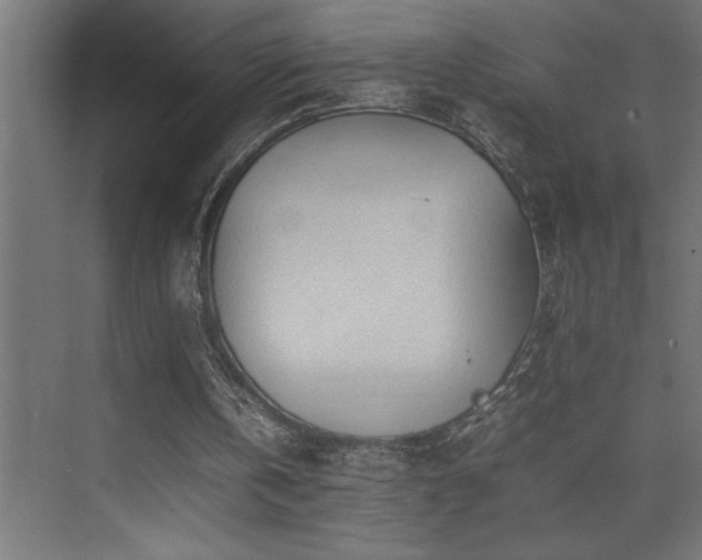 X0000074030146200608211501