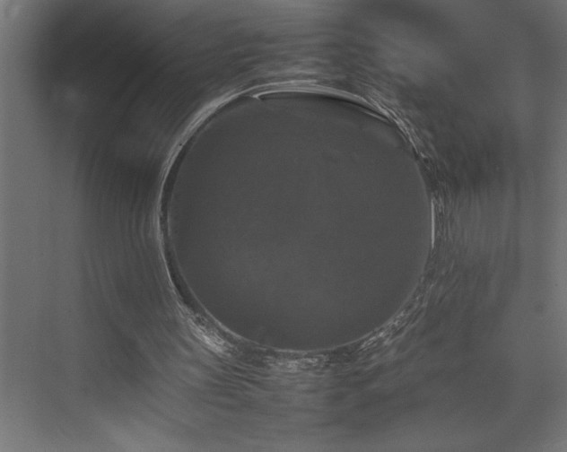 X0000074030147200608211501