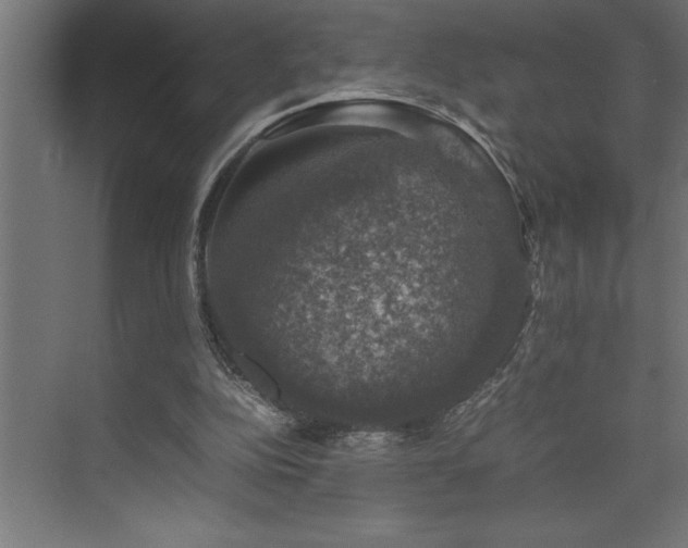 X0000074030152200608211501