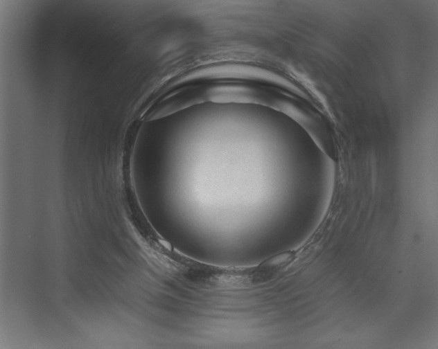 X0000074030154200608211501