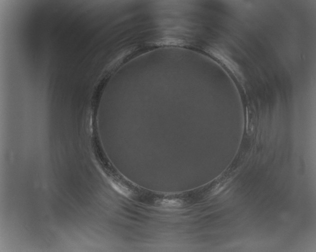 X0000074030157200608211501
