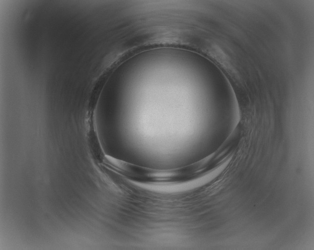 X0000074030160200608211501