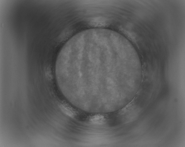 X0000074030162200608211501