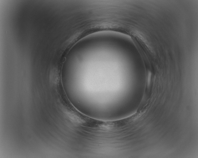 X0000074030164200608211501
