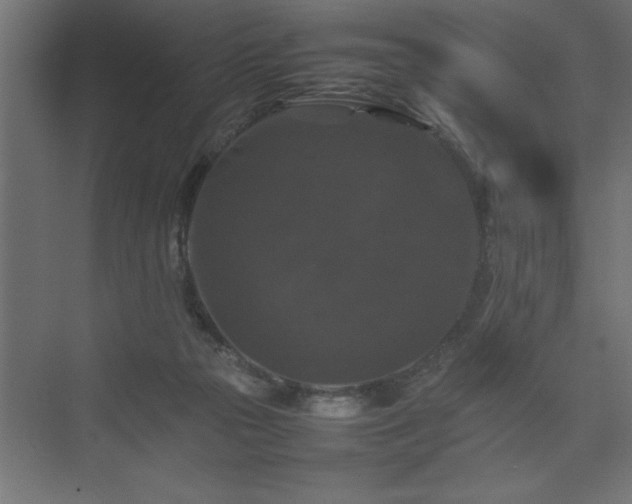 X0000074030169200608211502