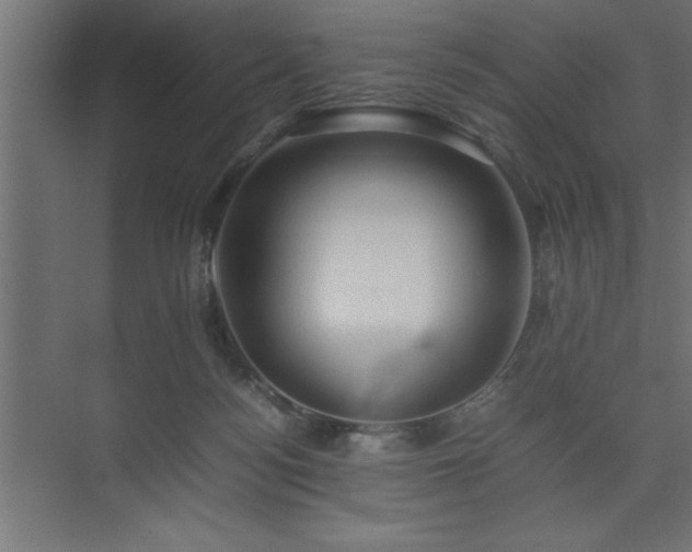 X0000074030172200608211502