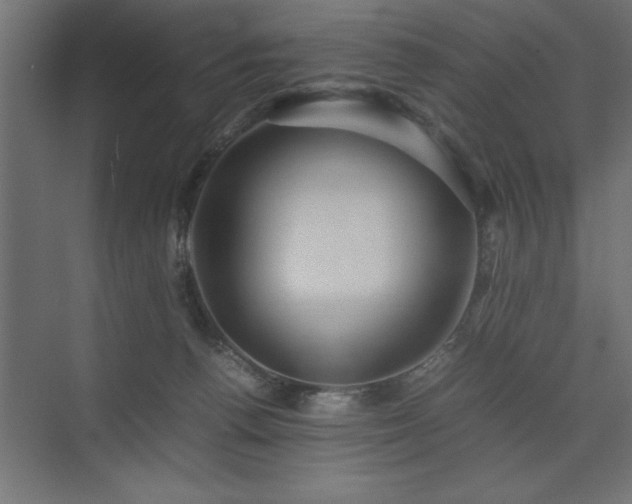 X0000074030176200608211502