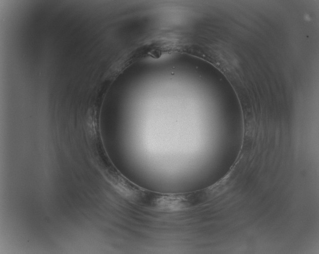 X0000074030179200608211502