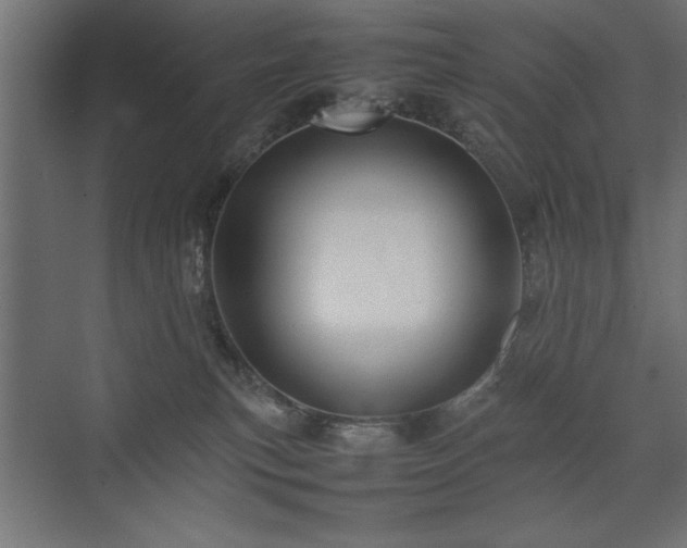 X0000074030183200608211502
