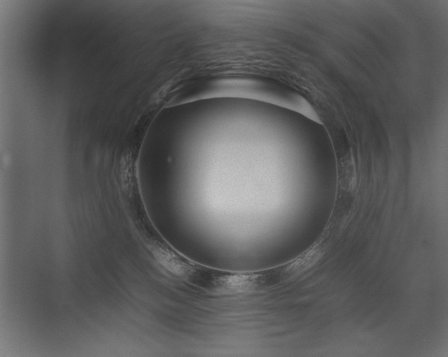 X0000074030184200608211502