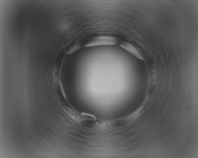 X0000074030186200608211502