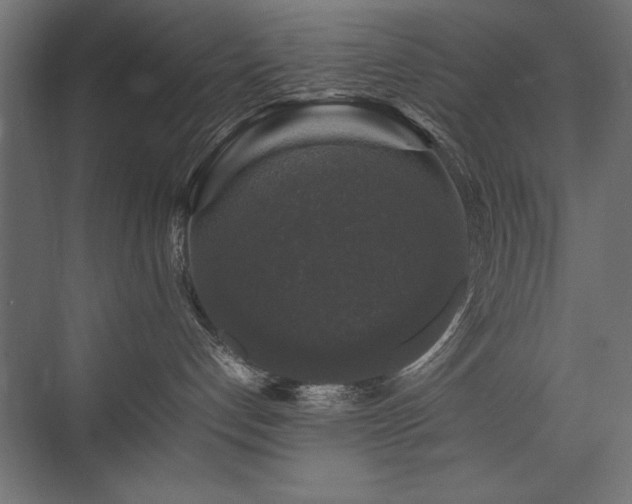 X0000074030192200608211502