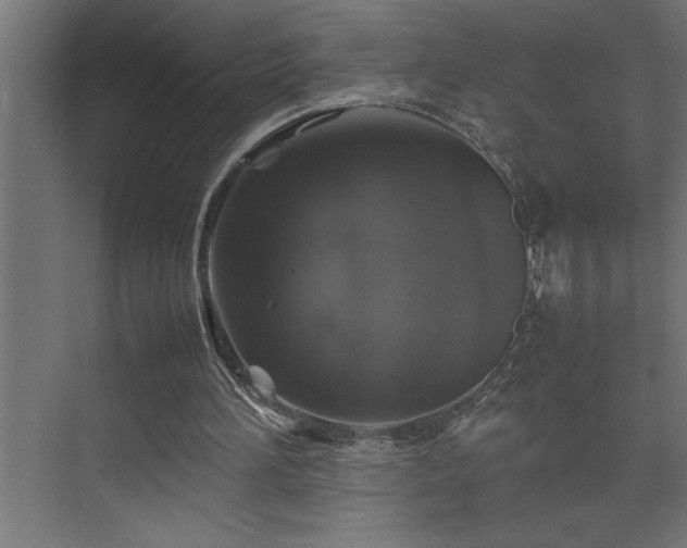 X0000074030196200608211501