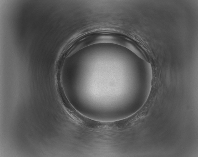 X0000074030197200608211501
