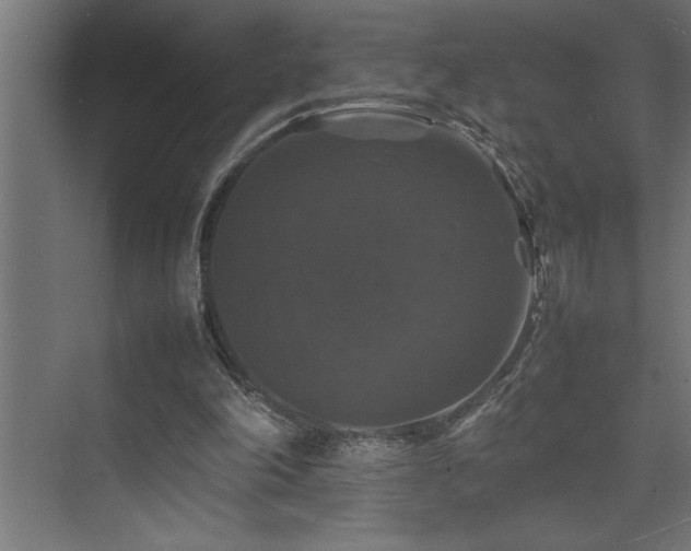 X0000074030198200608211501