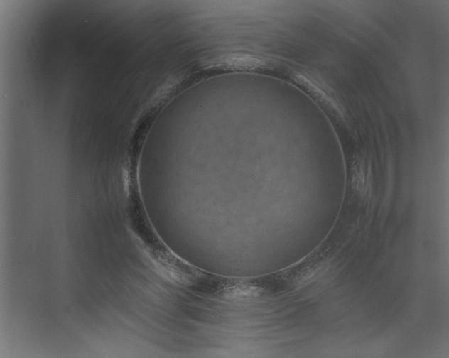 X0000074030206200608211501