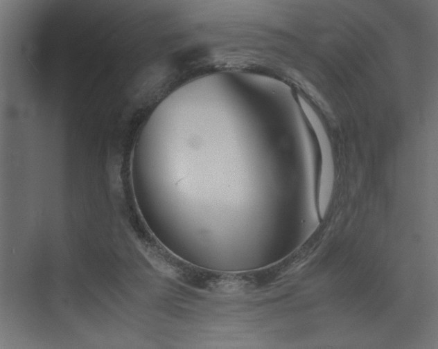 X0000074030209200608211501