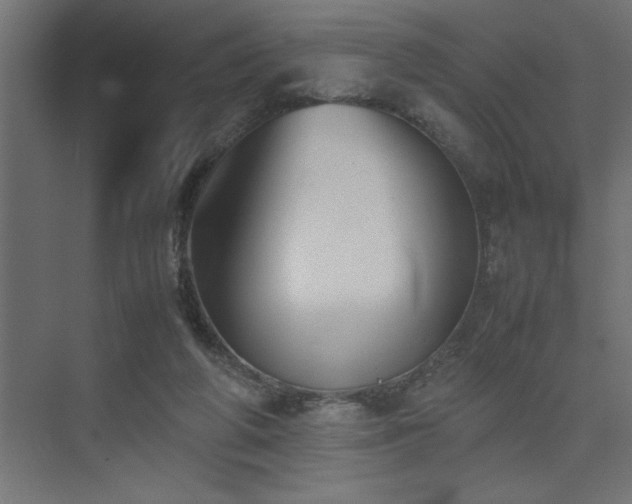X0000074030210200608211501