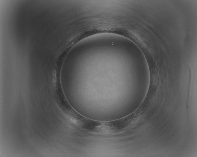 X0000074030211200608211501