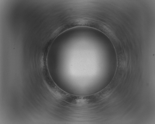 X0000074030216200608211501