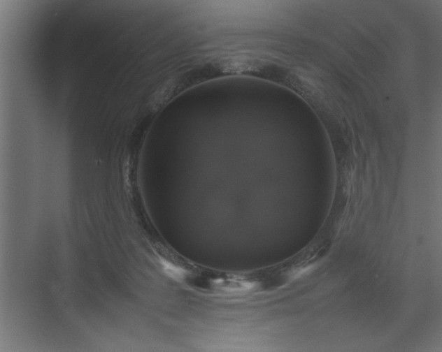 X0000074030219200608211501