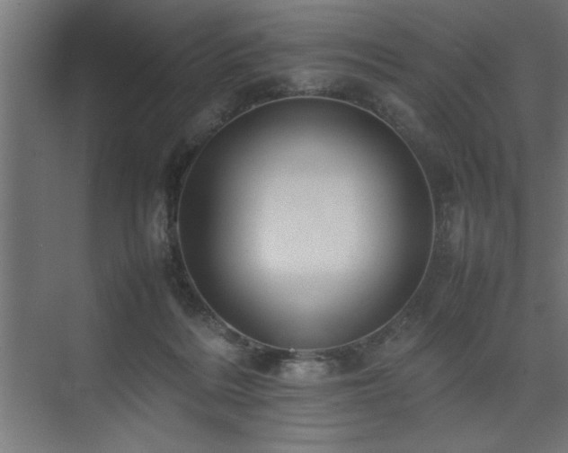 X0000074030220200608211501