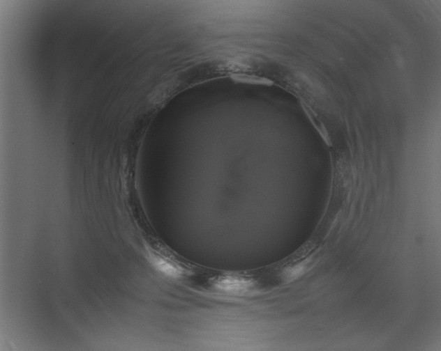 X0000074030223200608211501
