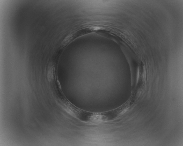X0000074030227200608211501