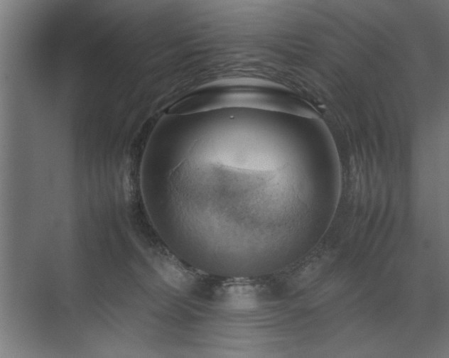 X0000074030228200608211501