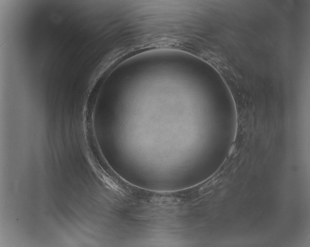 X0000074030242200608211500