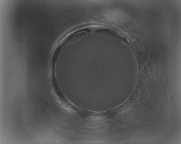 X0000074030247200608211500