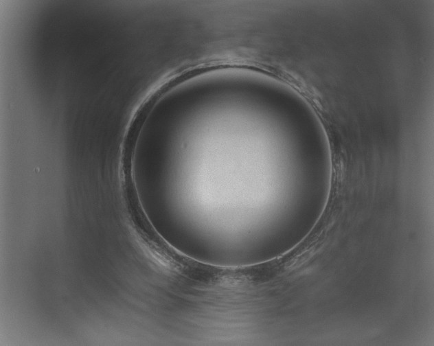 X0000074030248200608211500