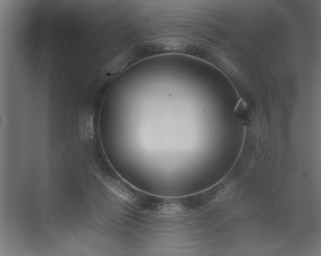X0000074030262200608211500