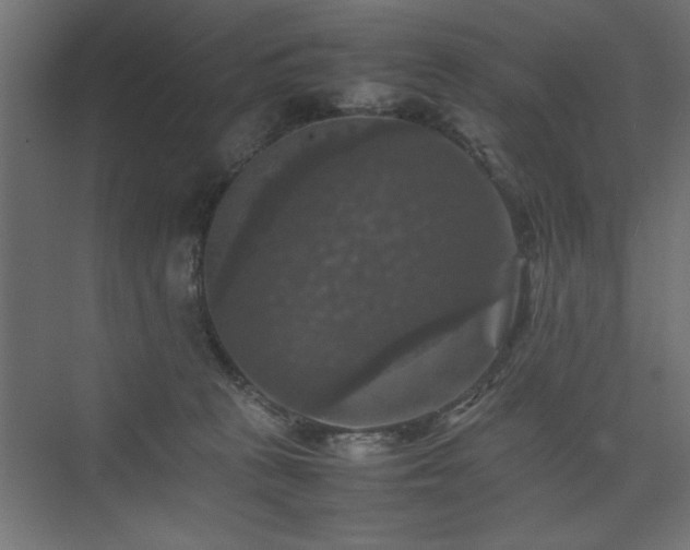 X0000074030273200608211500