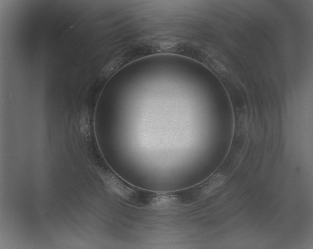 X0000074030274200608211500