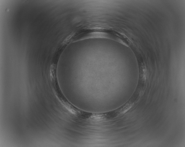 X0000074030280200608211500