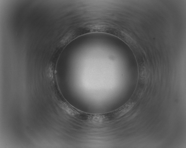 X0000074030282200608211500