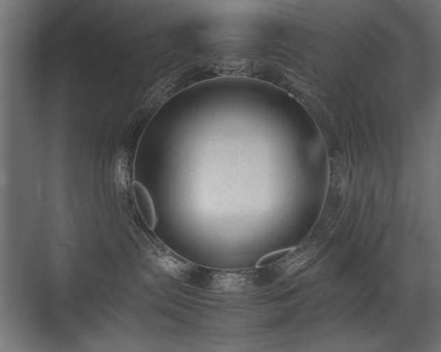 X0000074030287200608211500